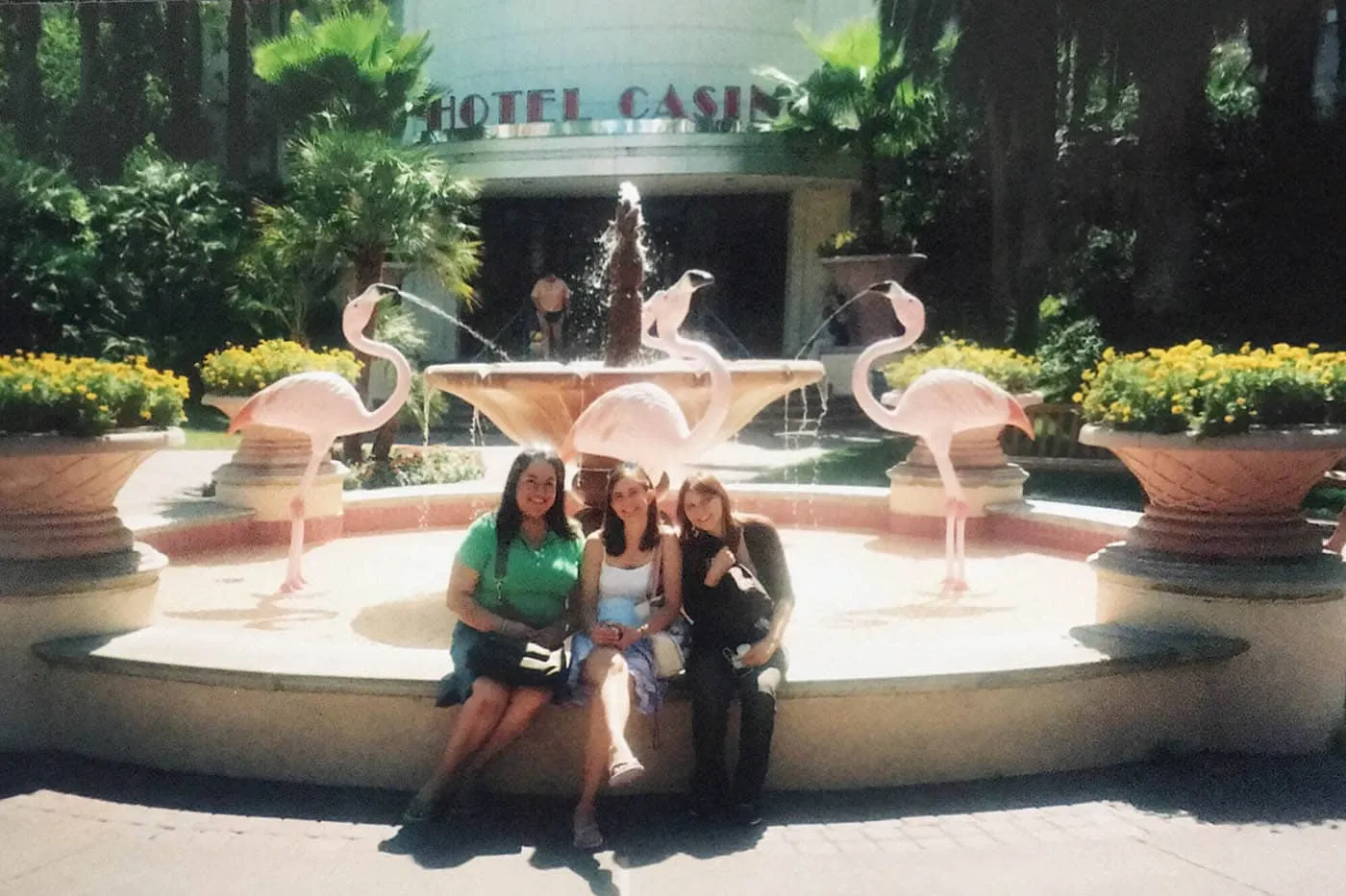 Flamingos at the Wildlife Habitat at the Flamingo Hotel and Casino in Las Vegas.