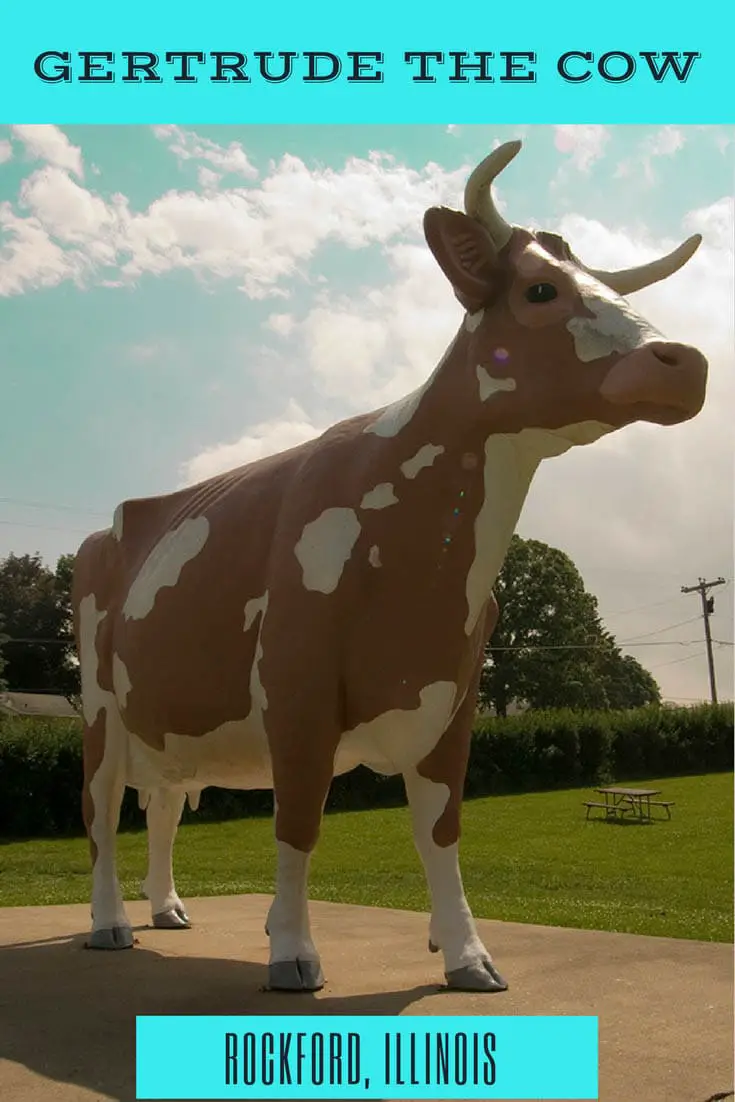 Gertrude the Cow is a giant fiberglass guernsey cow in Rockford, Illinois. This oversized bovine roadside attraction is located in Lockwood Park. Visit the weird roadside attraction on an Illinois road trip and be sure to add it to your itinerary and map!
#IllinoisRoadsideAttractions #IllinoisRoadsideAttraction #RoadsideAttractions #RoadsideAttraction #RoadTrip #IllinoisRoadTrip #IllinoisRoadTripMap #IllinoisRoadTripTravel #WeirdRoadsideAttractions #RoadTripStops #USARoadsideAttractions