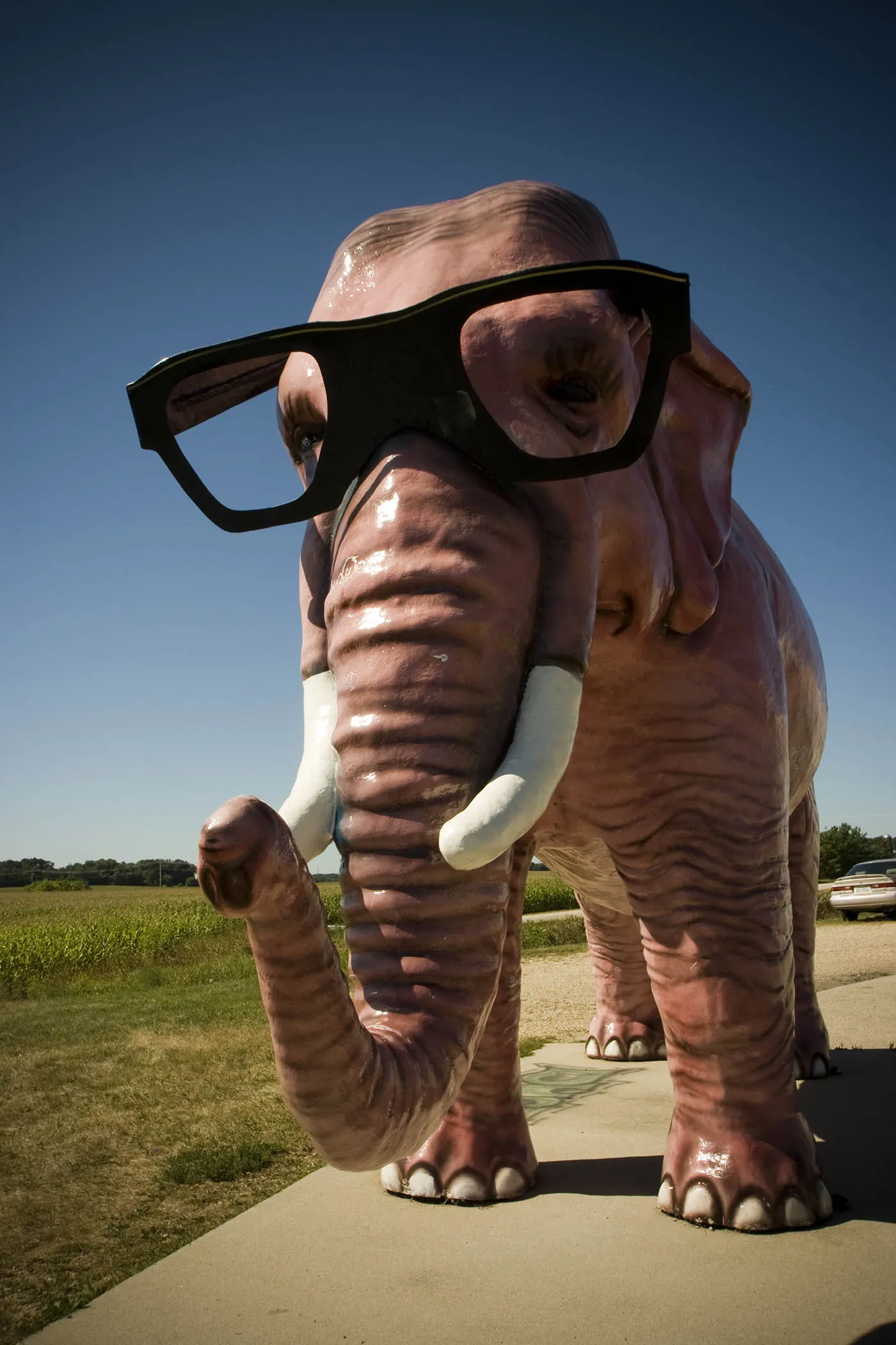 Pink Elephant with Glasses - a roadside attraction in DeForest, Wisconsin