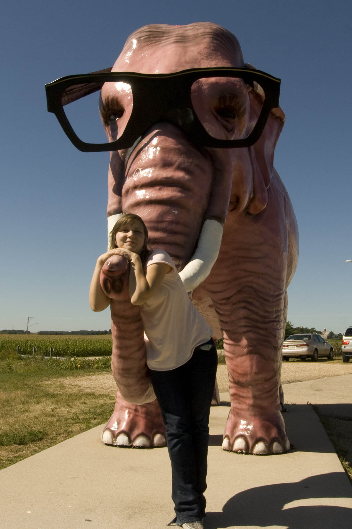 Pink Elephant with Glasses - a roadside attraction in DeForest, Wisconsin