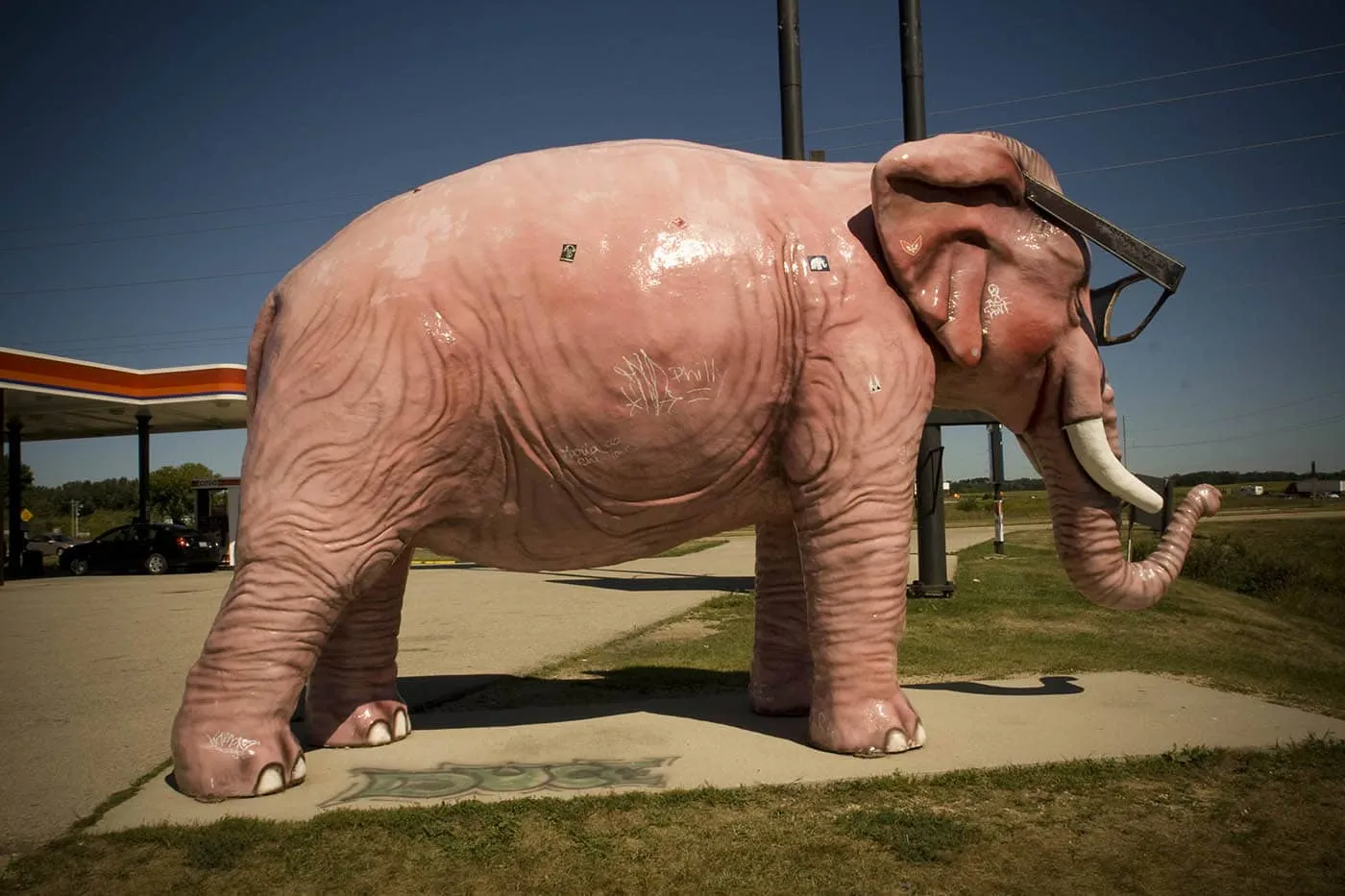 Pink Elephant with Glasses - a roadside attraction in DeForest, Wisconsin