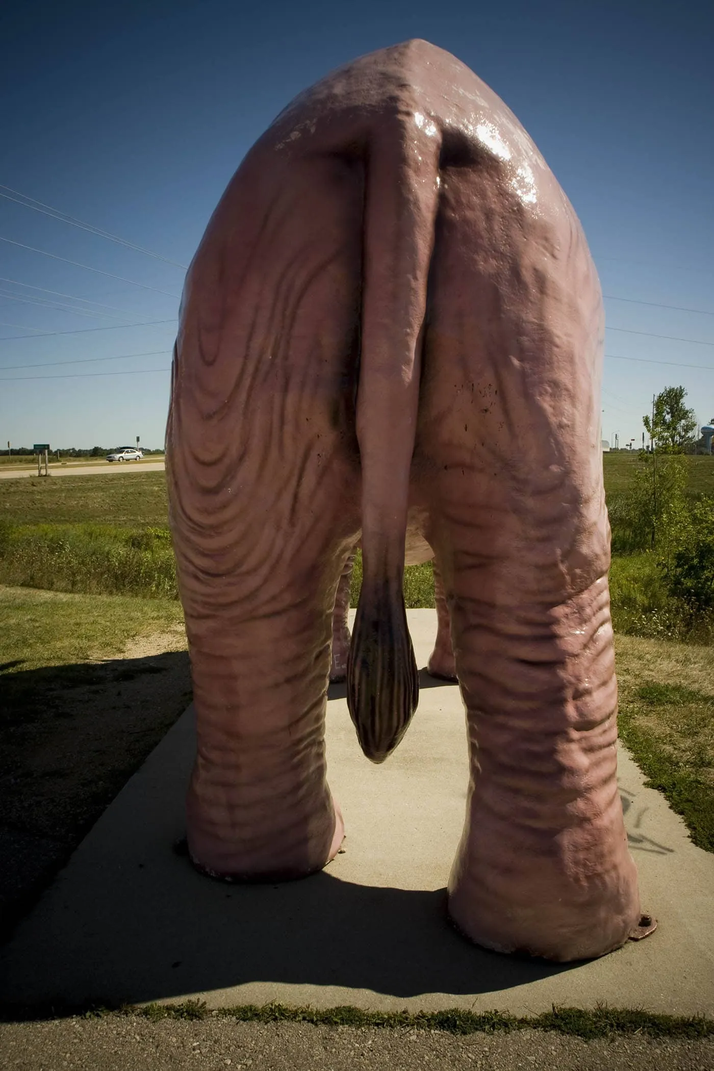 Pink Elephant with Glasses - a roadside attraction in DeForest, Wisconsin