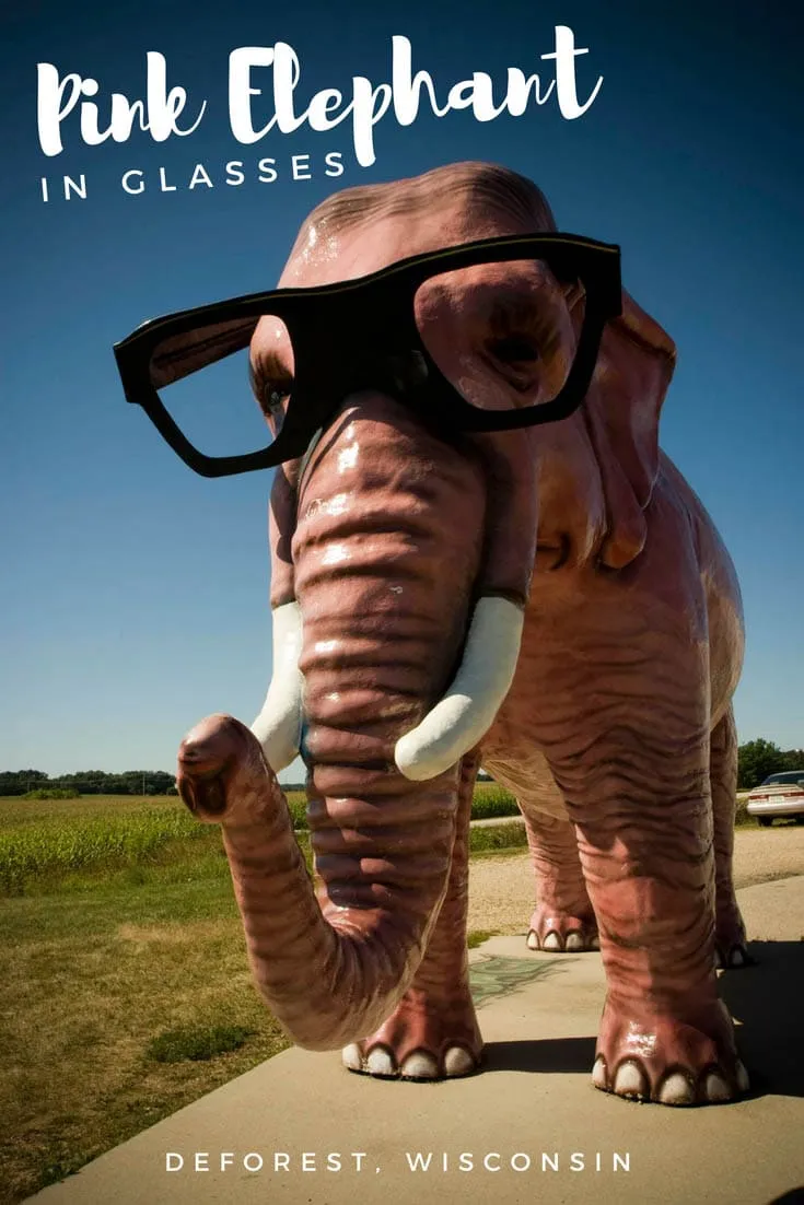 Pinkie the Elephant - a fiberglass giant pink elephant with glasses is a Wisconsin roadside attraction at a Shell Gas Station in DeForest, Wisconsin. Add this weird roadside attraction to your travel bucket list and Wisconsin road trip itinerary. A fun thing to do in Wisconsin when visiting the beautiful places in the state. #WisconsinRoadsideAttraction #RoadsideAttraction #RoadTrip #WisconsinRoadTrip #ThingsToDoInWisconsin #WisconsinRoadTripMap #WisconsinRoadTripIdeas #WeirdRoadsideAttractions
