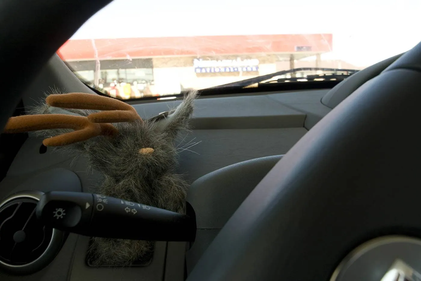 Flopsy the Jackalope - Silly America's jackalope mascot - in his spot in our road trip car.