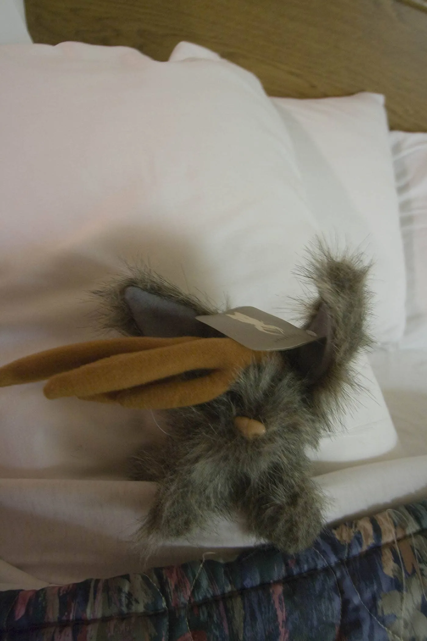 Flopsy the Jackalope - Silly America's jackalope mascot - tucked into a hotel bed after a long day of road tripping.