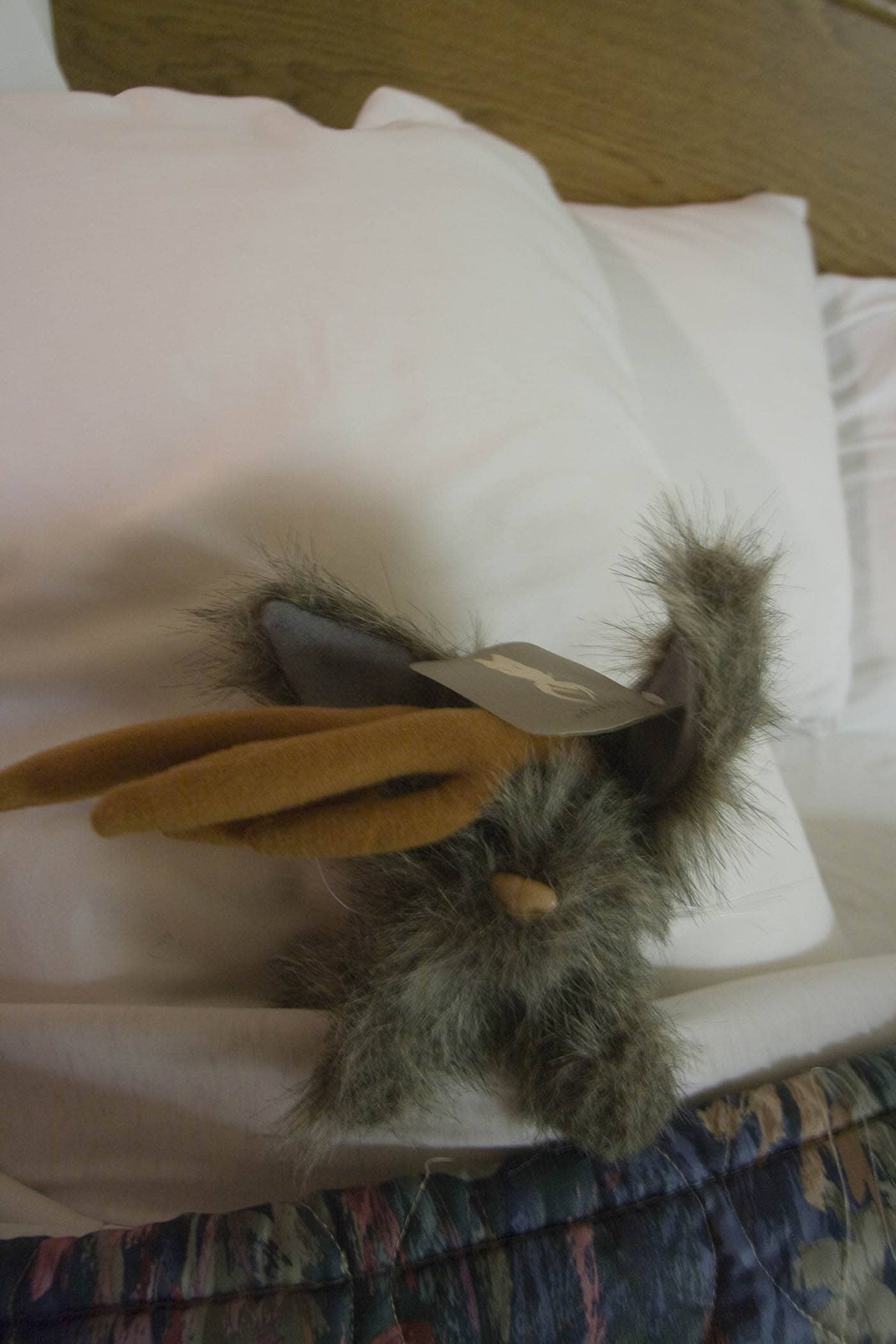 Flopsy the Jackalope - Silly America's jackalope mascot - tucked into a hotel bed after a long day of road tripping.