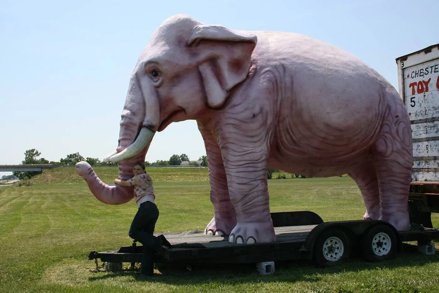 Fiberglass Pink Elephant - a roadside attraction at Pink Elephant Antique Mall in Livingston, Illinois