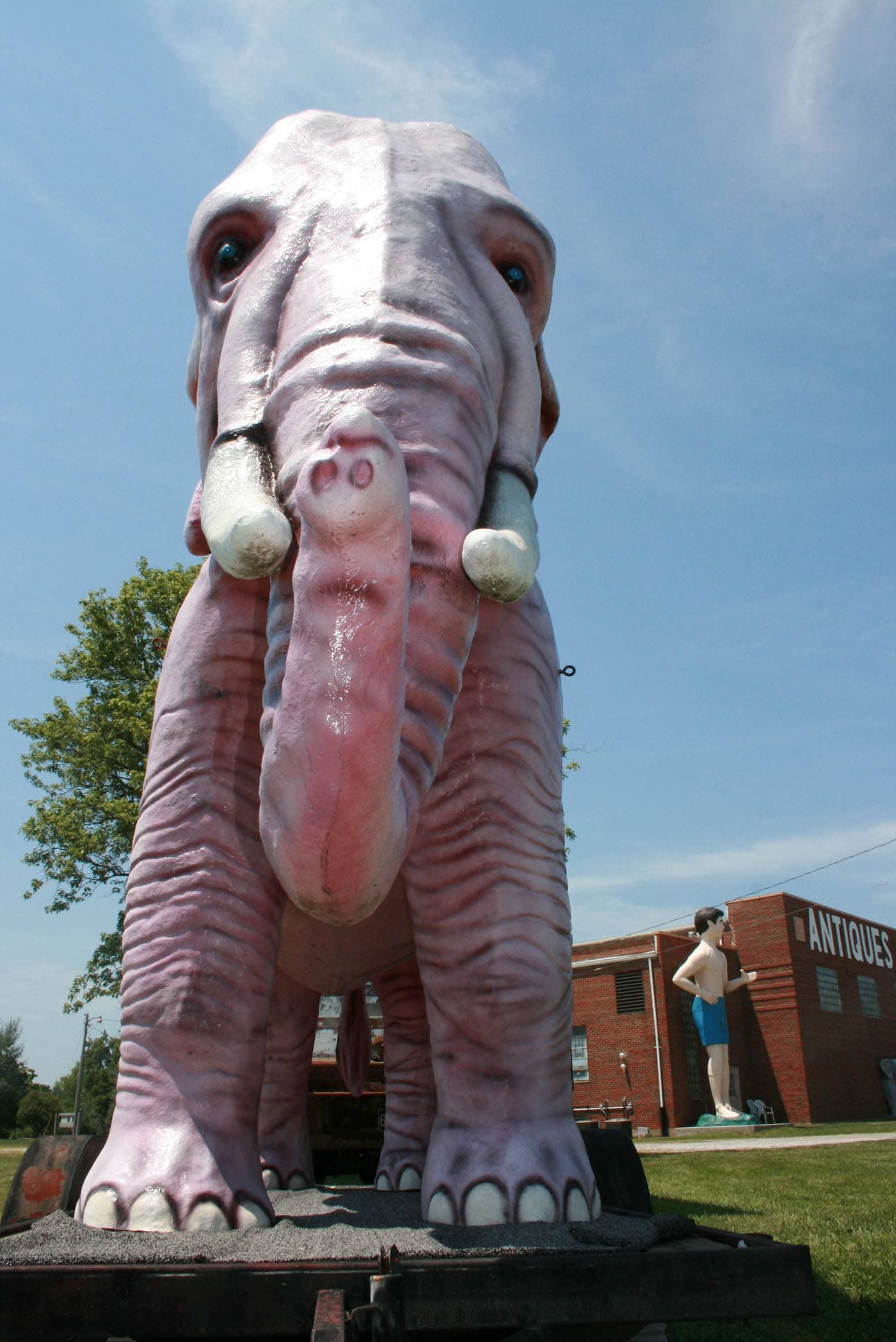 Fiberglass Pink Elephant - a roadside attraction at Pink Elephant Antique Mall in Livingston, Illinois