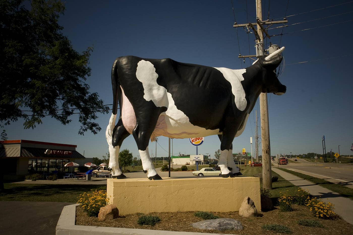 Sissy the Cow - a giant fiberglass cow - in DeForest, Wisconsin