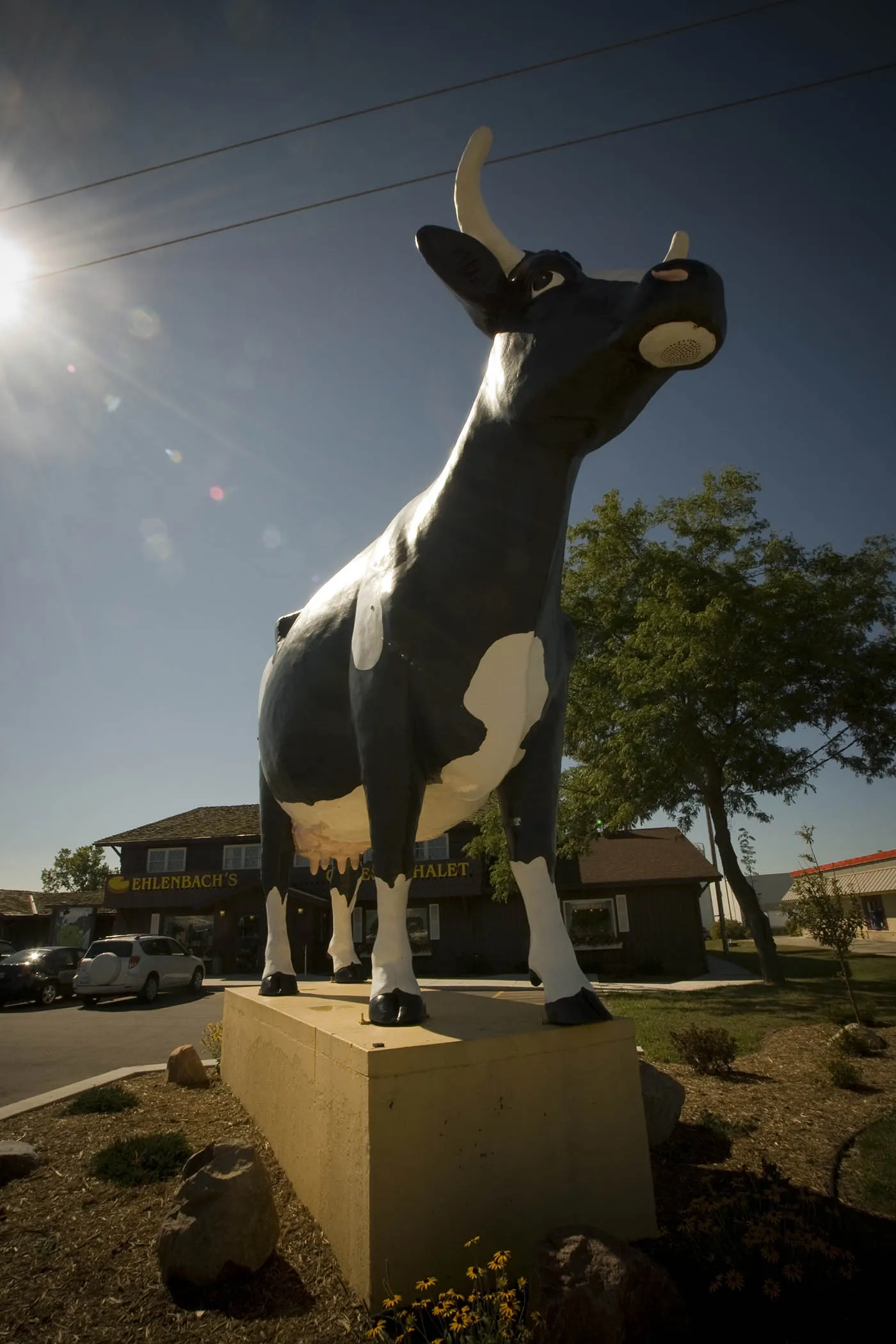 Sissy the Cow - a giant fiberglass cow - in DeForest, Wisconsin