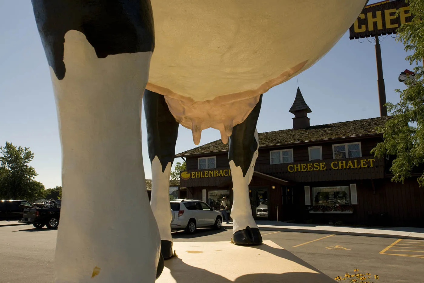 Sissy the Cow - a giant fiberglass cow - in DeForest, Wisconsin