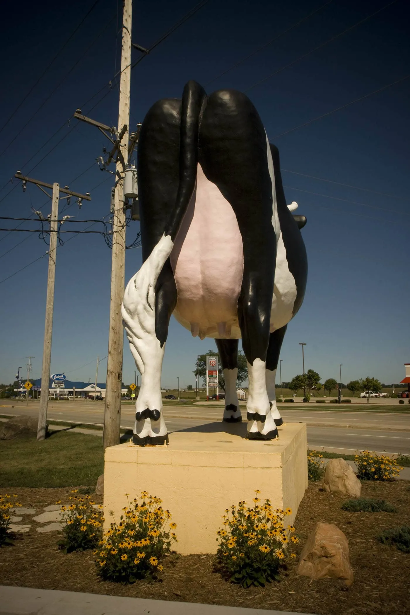 Sissy the Cow - a giant fiberglass cow - in DeForest, Wisconsin