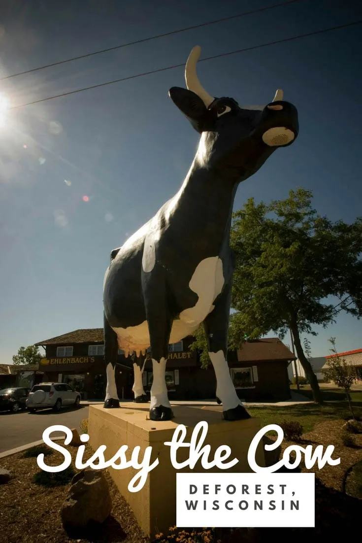 Sissy the Cow is a two-ton black and white fiberglass Holstein bovine roadside attraction set in front of Ehlenbach's Cheese Chalet in DeForest, Wisconsin. This Wisconsin roadside attraction makes a great stop for summer travel on a Wisconsin road trip. Add it to your itinerary of things to do in the state and your travel bucket list.
#WisconsinRoadsideAttractions #RoadsideAttractions #RoadsideAttraction #RoadTrip #WisconsinRoadTrip #ThingsToDoInWisconsin #WisconsinRoadTripIdeas #RoadTripStops
