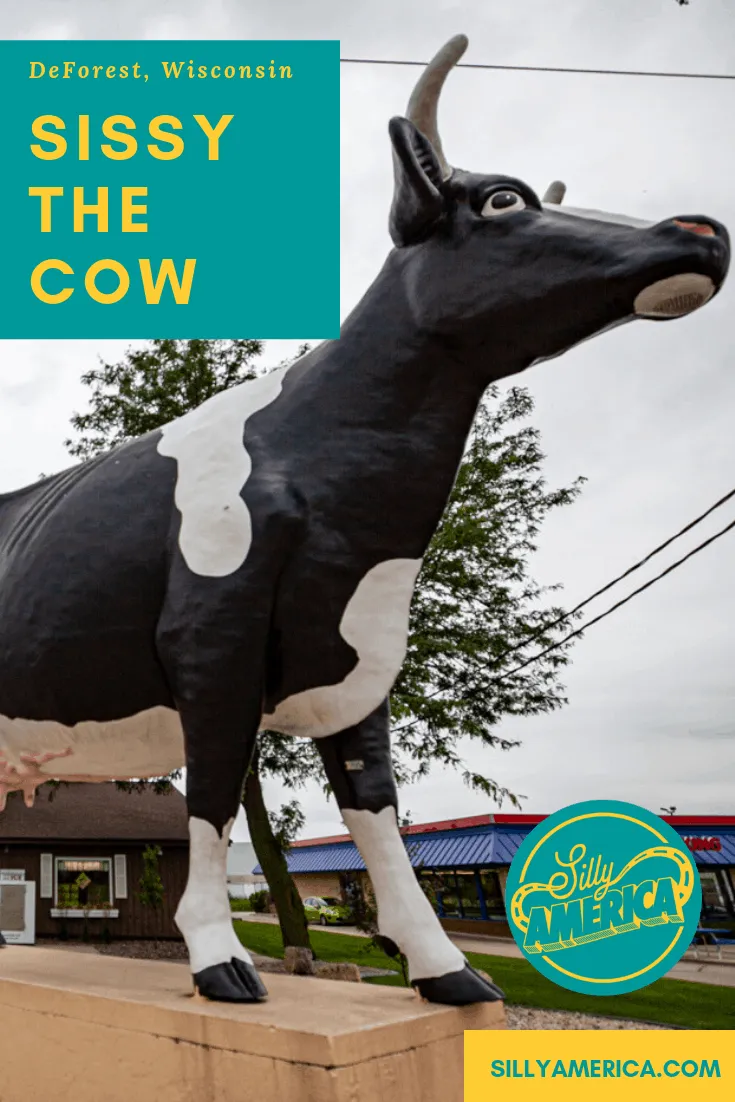 Sissy the Cow is a two-ton black and white fiberglass Holstein bovine roadside attraction set in front of Ehlenbach's Cheese Chalet in DeForest, Wisconsin. This Wisconsin roadside attraction makes a great stop for summer travel on a Wisconsin road trip. Add it to your itinerary of things to do in the state and your travel bucket list.
