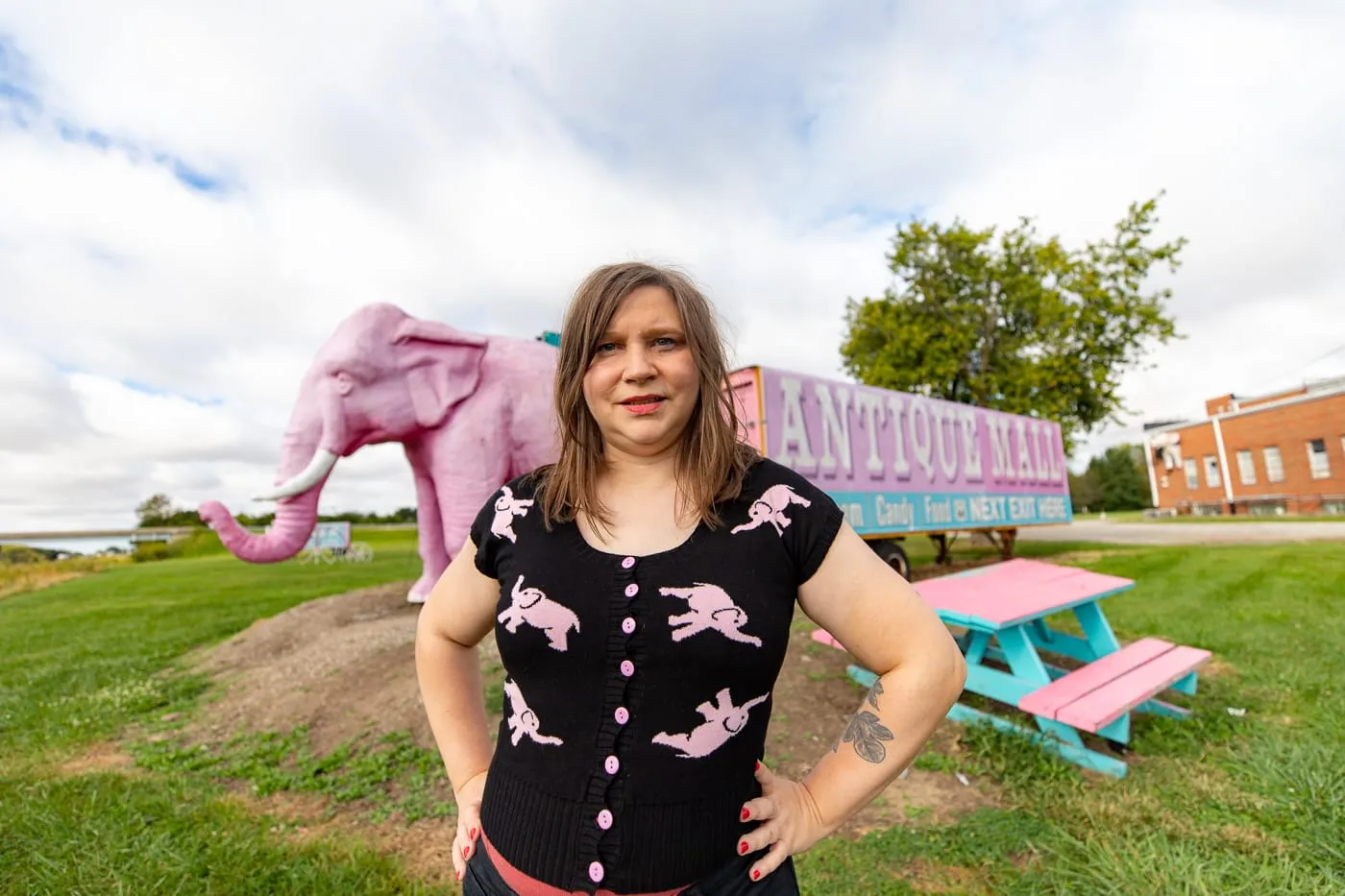 Pink Elephant Antique Mall in Livingston, Illinois - Route 66 Roadside Attraction