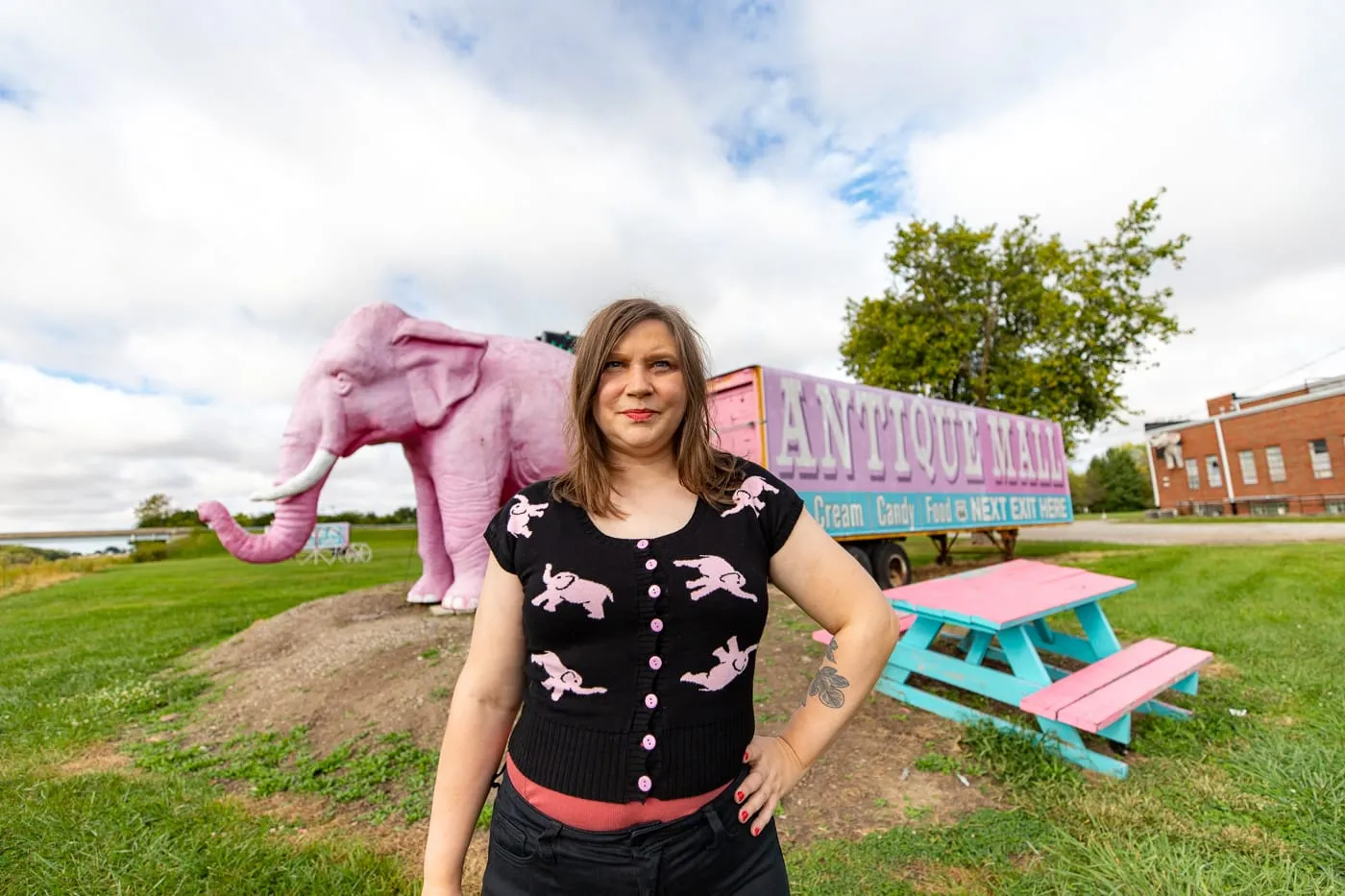 Pink Elephant Antique Mall in Livingston, Illinois - Route 66 Roadside Attraction