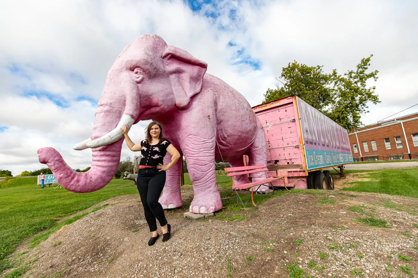 Pink Elephant Antique Mall in Livingston, Illinois - Route 66 Roadside Attraction