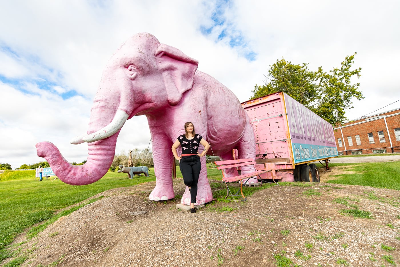 Pink Elephant Antique Mall in Livingston, Illinois - Route 66 Roadside Attraction