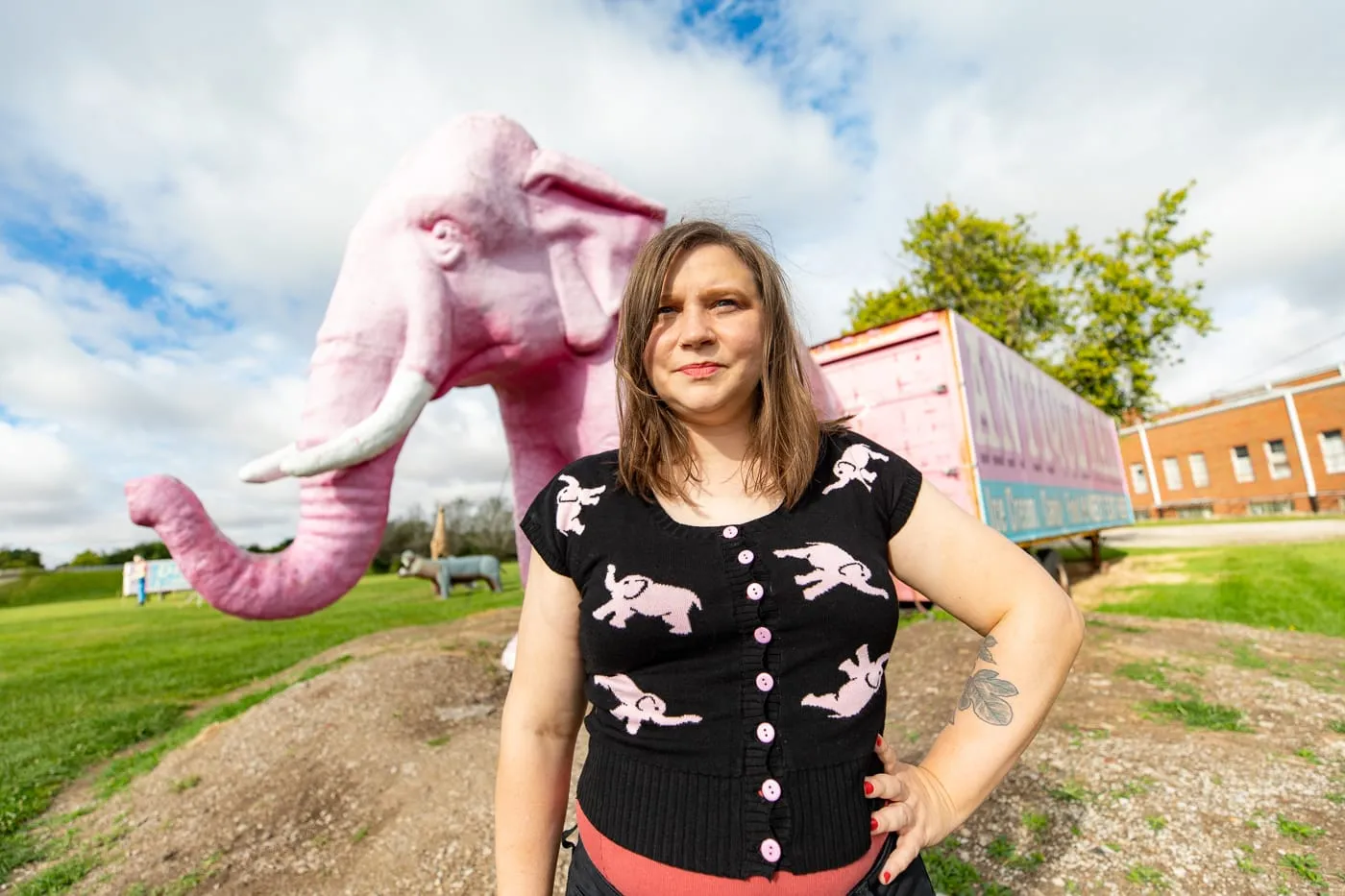 Pink Elephant Antique Mall in Livingston, Illinois - Route 66 Roadside Attraction