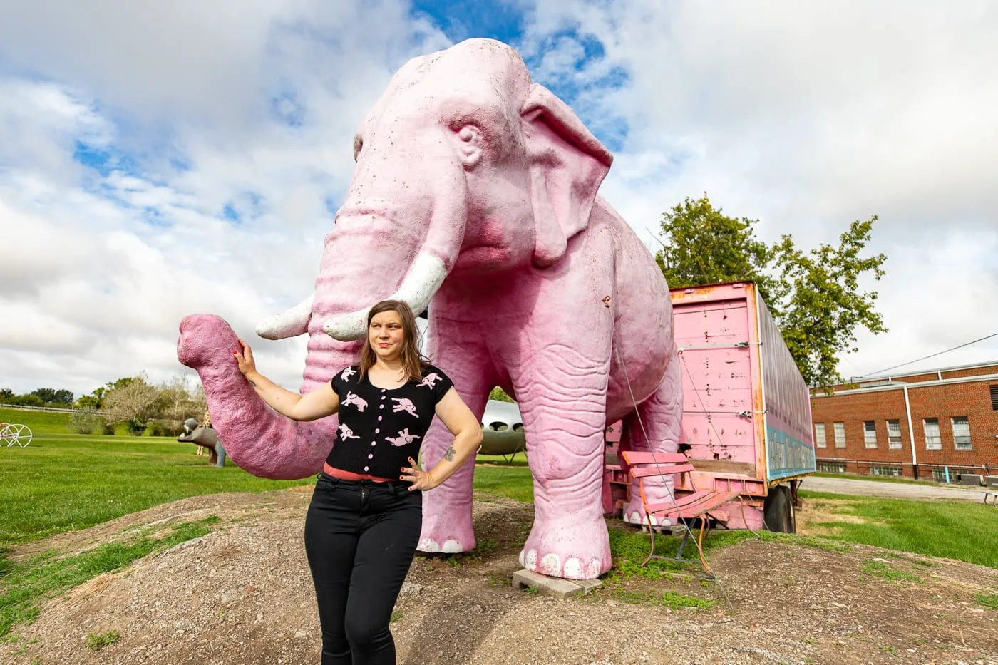 Pink Elephant Antique Mall in Livingston, Illinois - Route 66 Roadside Attraction