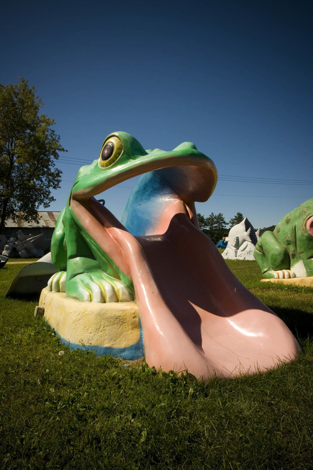 Finished fiberglass frog slide - Fast Fiberglass Animals, Shapes & Trademarks in Sparta, Wisconsin