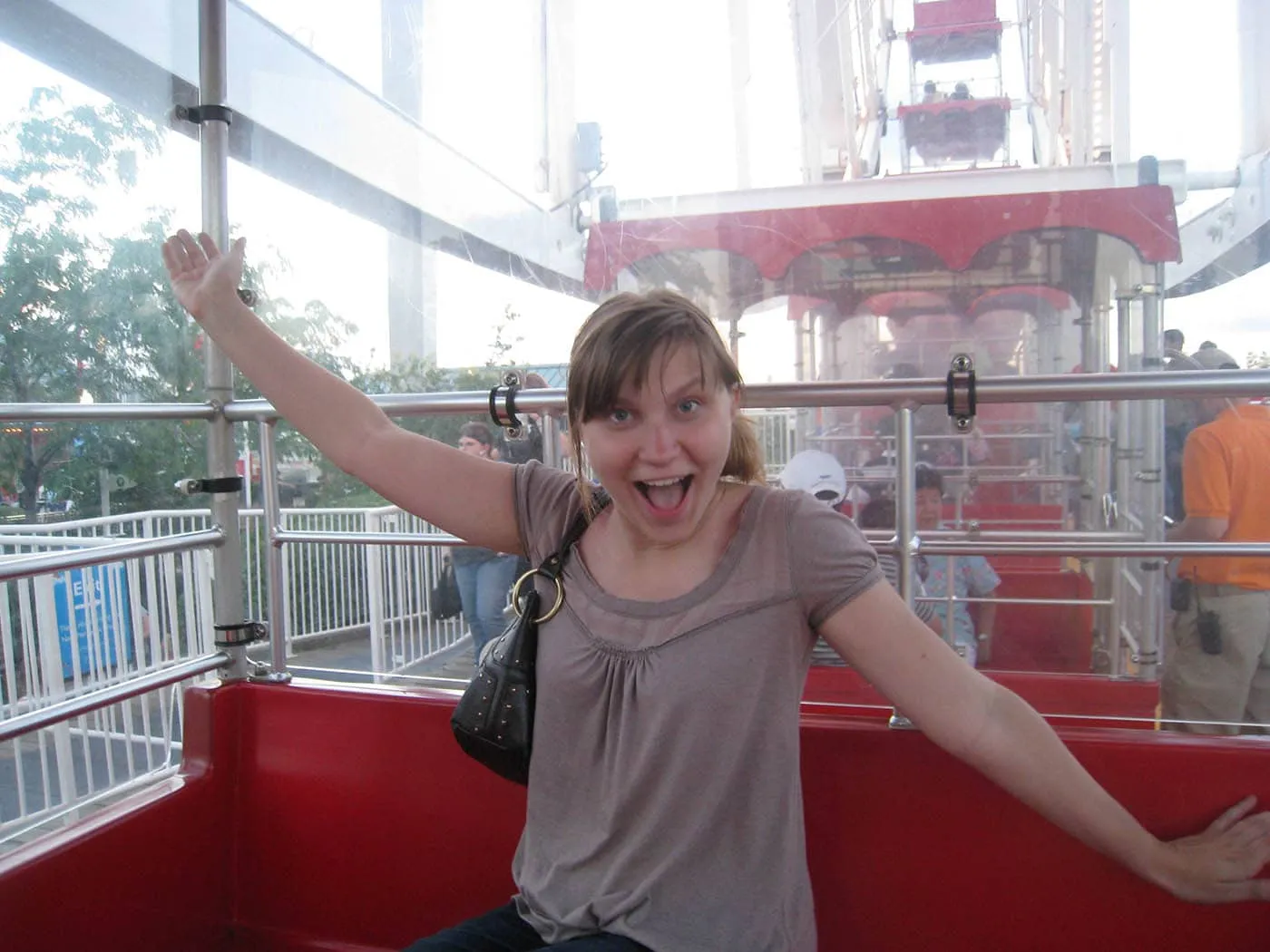 Navy Pier Ferris Wheel in Chicago, Illinois