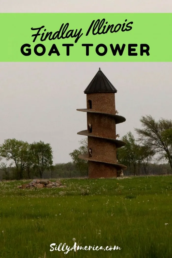 Photos of the Findlay Illinois Goat Tower AKA "goat tower of baaa" AKA "the world's leading goat tower." This toy is a happy play space for 34 rural goats. Visit this weird roadside attraction on an Illinois road trip with kids this summer and get some fun goat photography!
