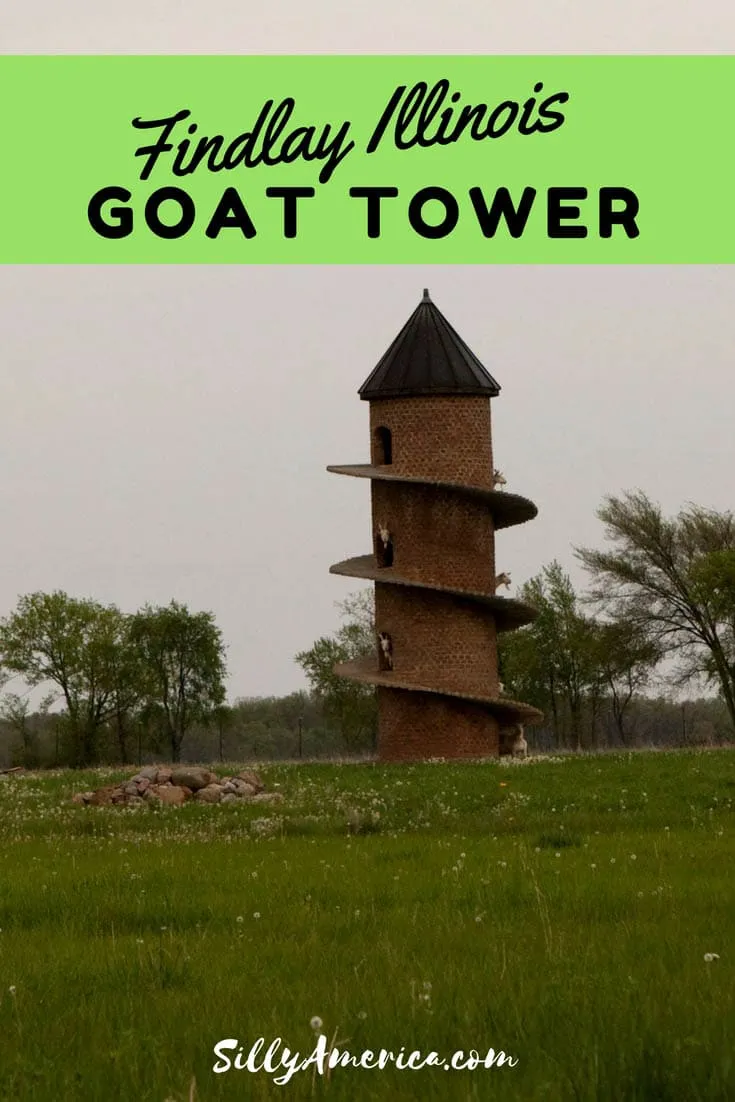 Photos of the Findlay Illinois Goat Tower AKA "goat tower of baaa" AKA "the world's leading goat tower." This toy is a happy play space for 34 rural goats. Visit this weird roadside attraction on an Illinois road trip with kids this summer and get some fun goat photography!
#IllinoisRoadsideAttractions #IllinoisRoadsideAttraction #RoadsideAttractions #RoadsideAttraction #RoadTrip #IllinoisRoadTrip #IllinoisRoadTripItinerary #IllinoisRoadTripTravel #WeirdRoadsideAttractions #RoadTripStops