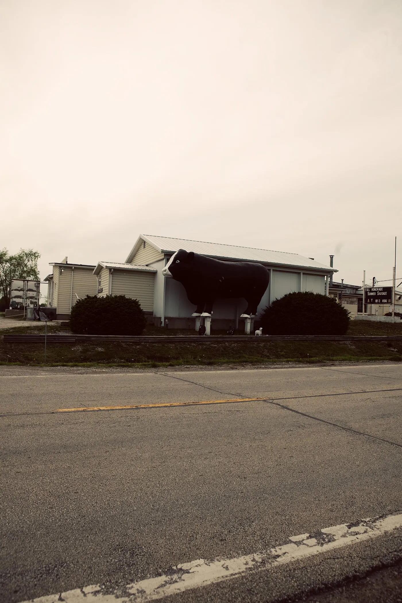 A giant bull roadside attraction in Stewardson, Illinois