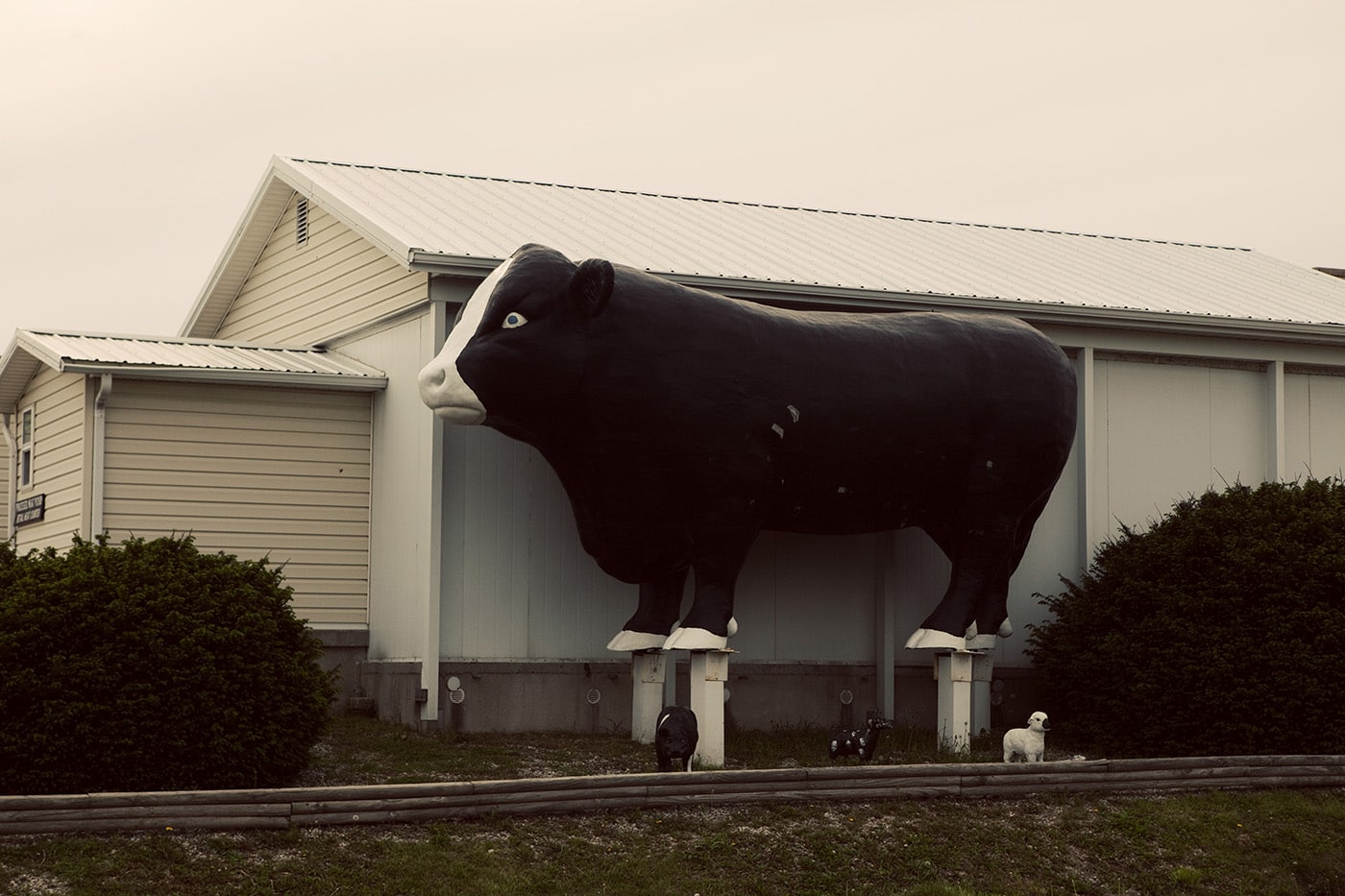 A giant bull roadside attraction in Stewardson, Illinois