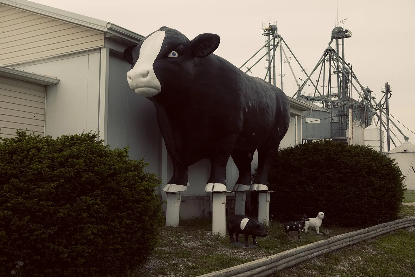 A giant bull roadside attraction in Stewardson, Illinois