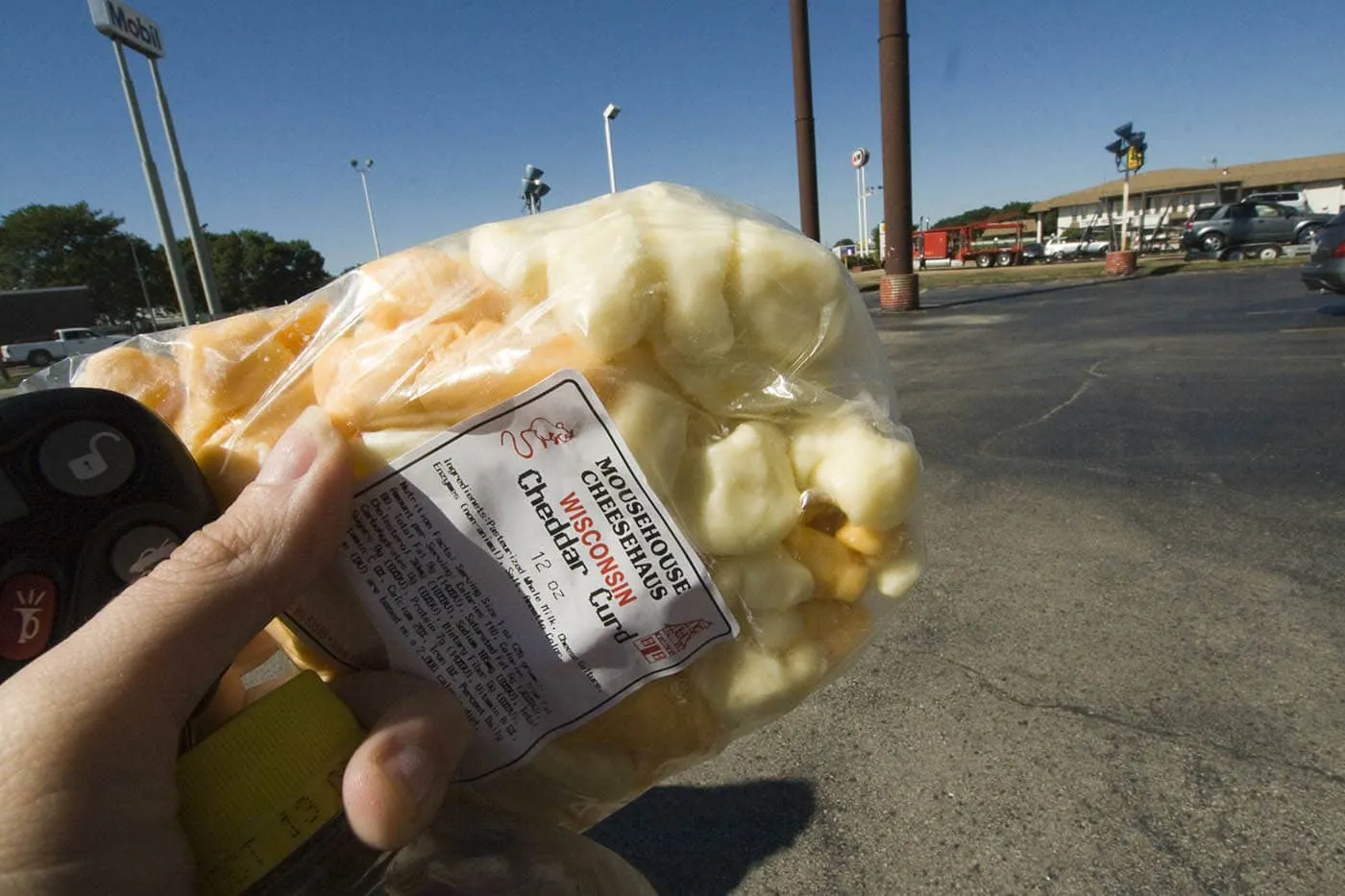 Cheese curds from Mousehouse Cheesehaus in Windsor, Wisconsin -- Roadside Attractions in Wisconsin