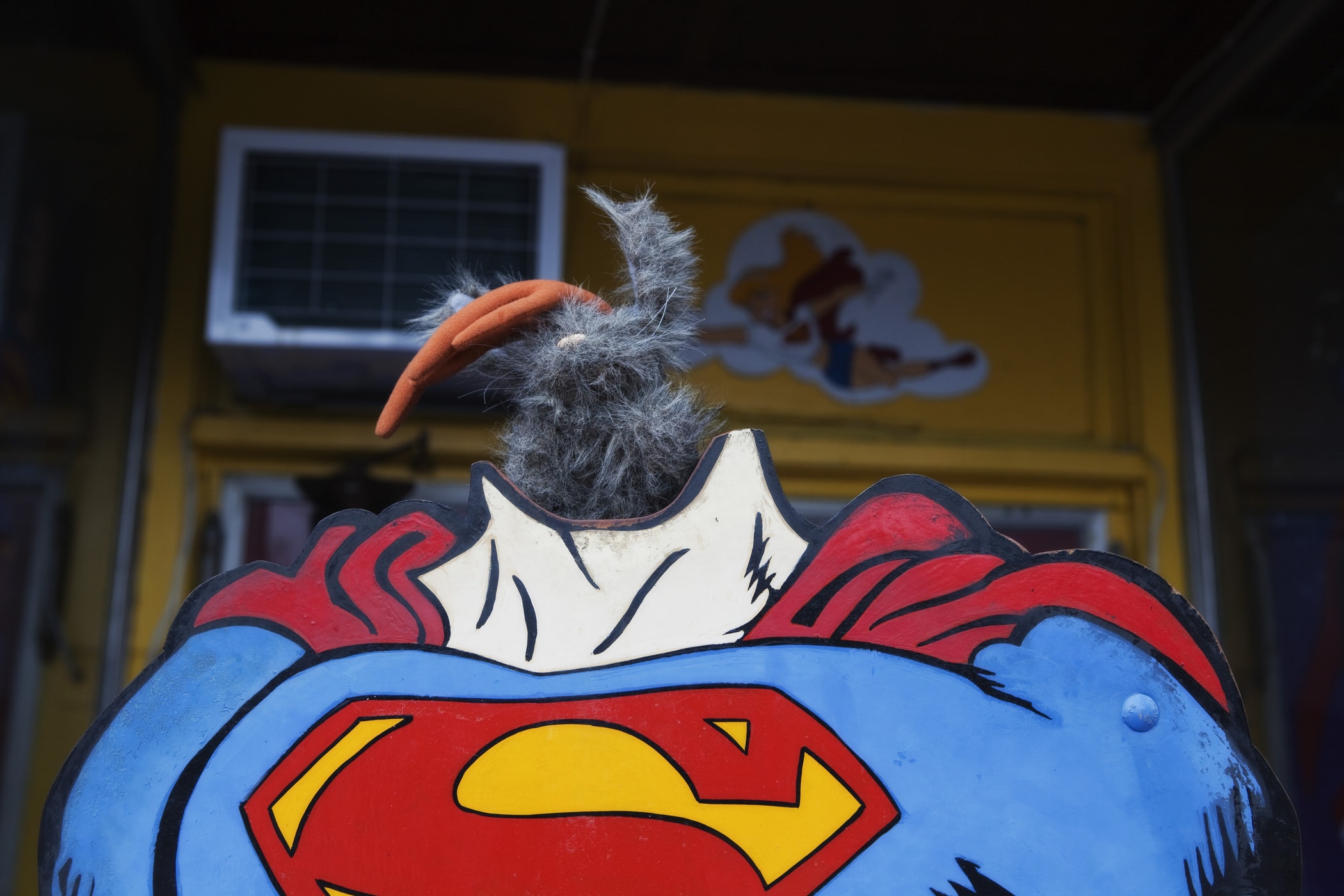 Flopsy the Jackalope as Superman in Metropolis, Illinois.
