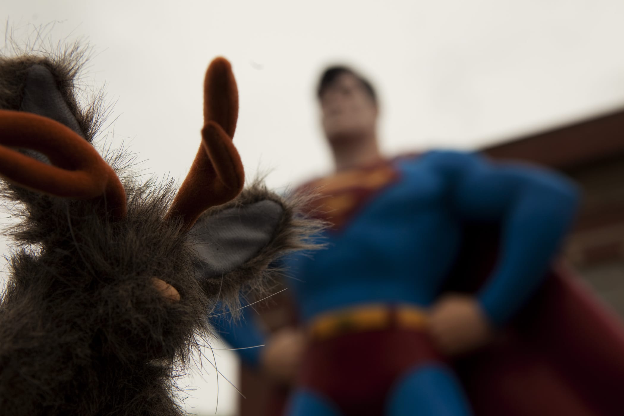 Flopsy the Jackalope with the Giant Superman statue, a roadside attraction in Metropolis, Illinois.