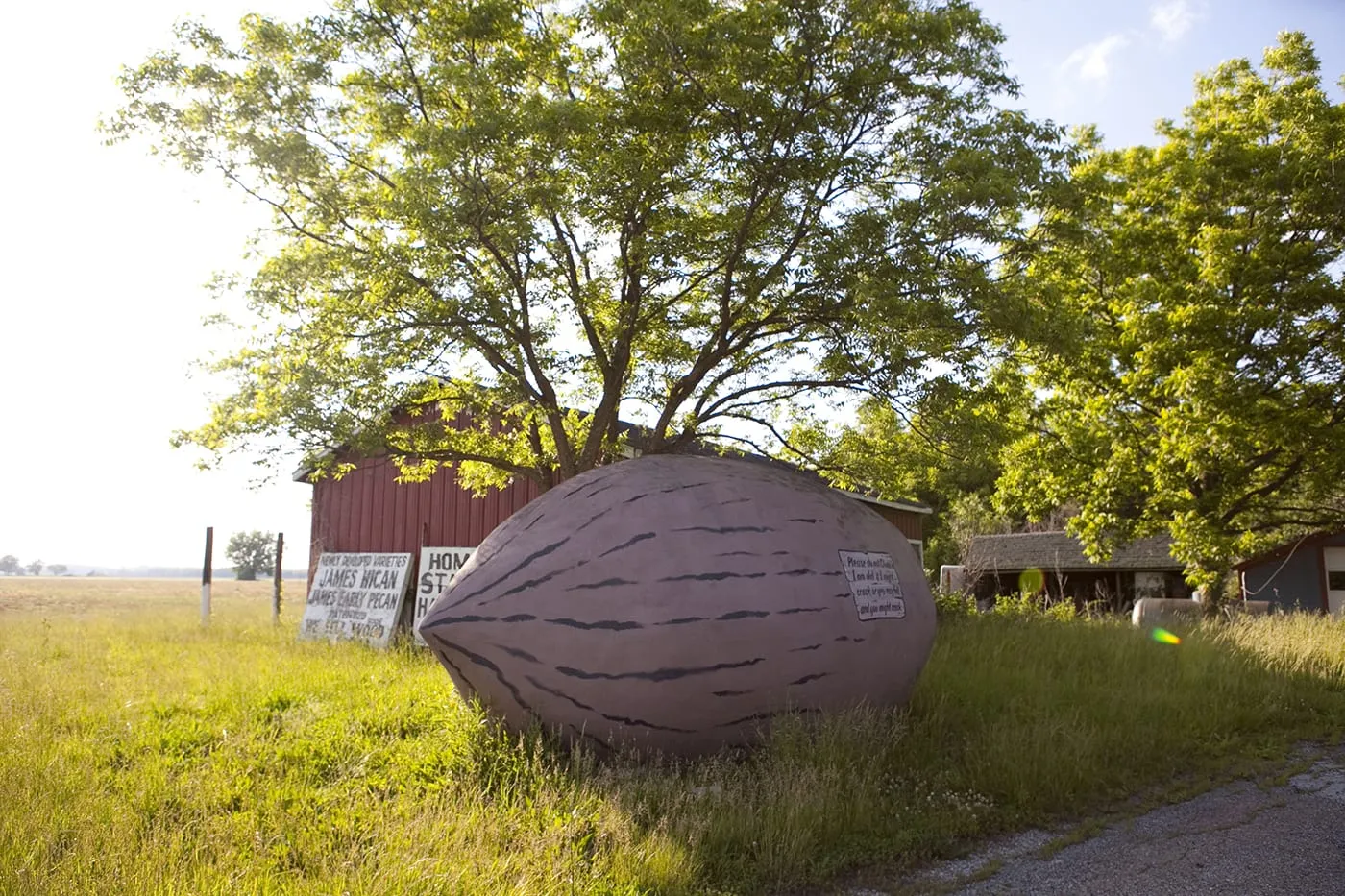 World's Largest Pecan in Brunswick, Missouri (Former)