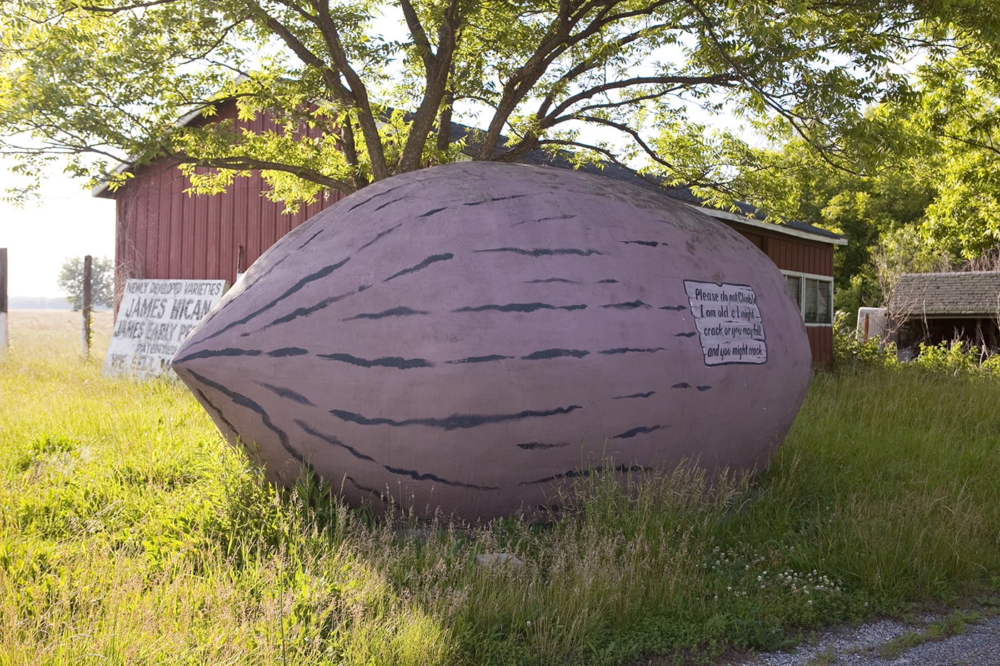 World's Largest Pecan in Brunswick, Missouri