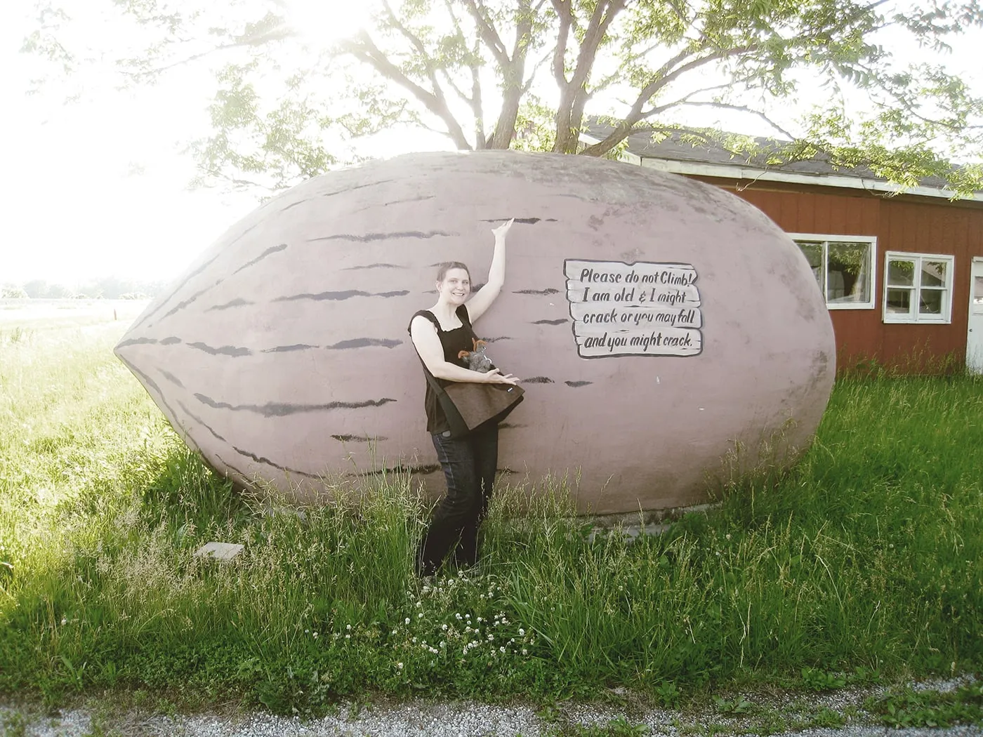 World's Largest Pecan in Brunswick, Missouri