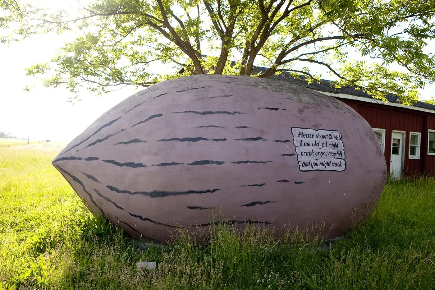 World's Largest Pecan in Brunswick, Missouri