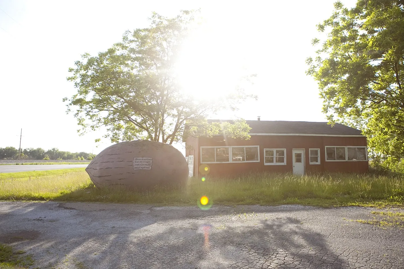 World's Largest Pecan in Brunswick, Missouri (Former)