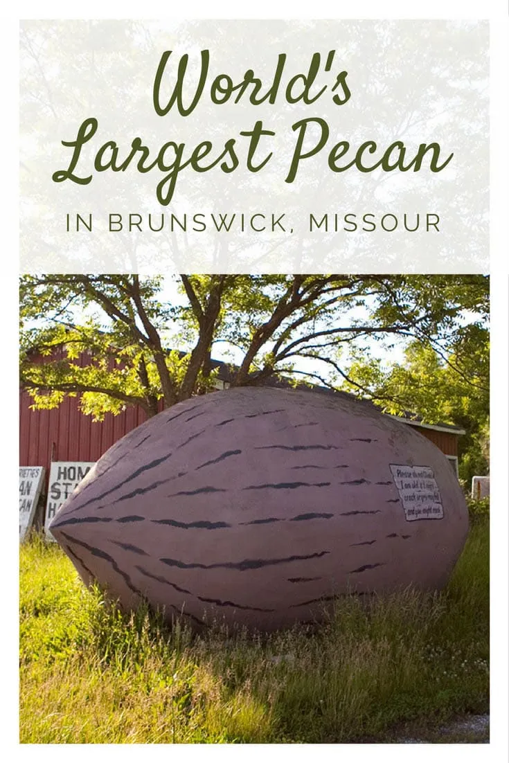 This Missouri roadside attraction is so good it will drive you nuts: the (former) world's largest pecan in Brunswick, Missouri! Visit this fun tourist trap on your Missouri road trip across the state or on a detour from Route 66. #RoadTrip #RoadsideAttraction #RoadsideAttractions #Missouri #MissouriRoadTrip #MissouriRoadsideAttraction