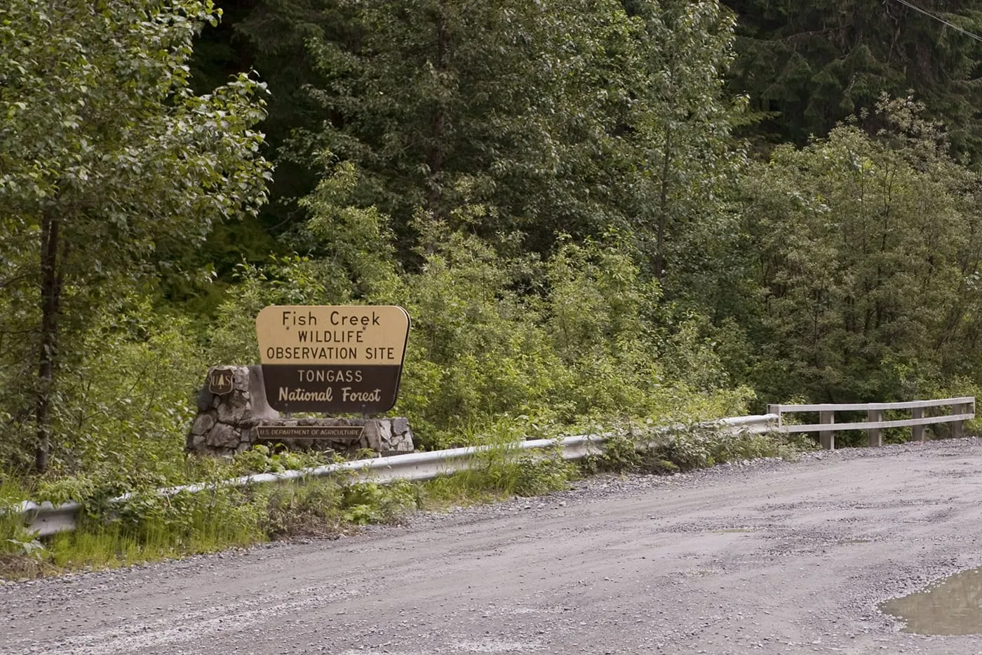 Fish Creek Wildlife Observation Site at the Tongass National Forest in Hyder, Alaska.