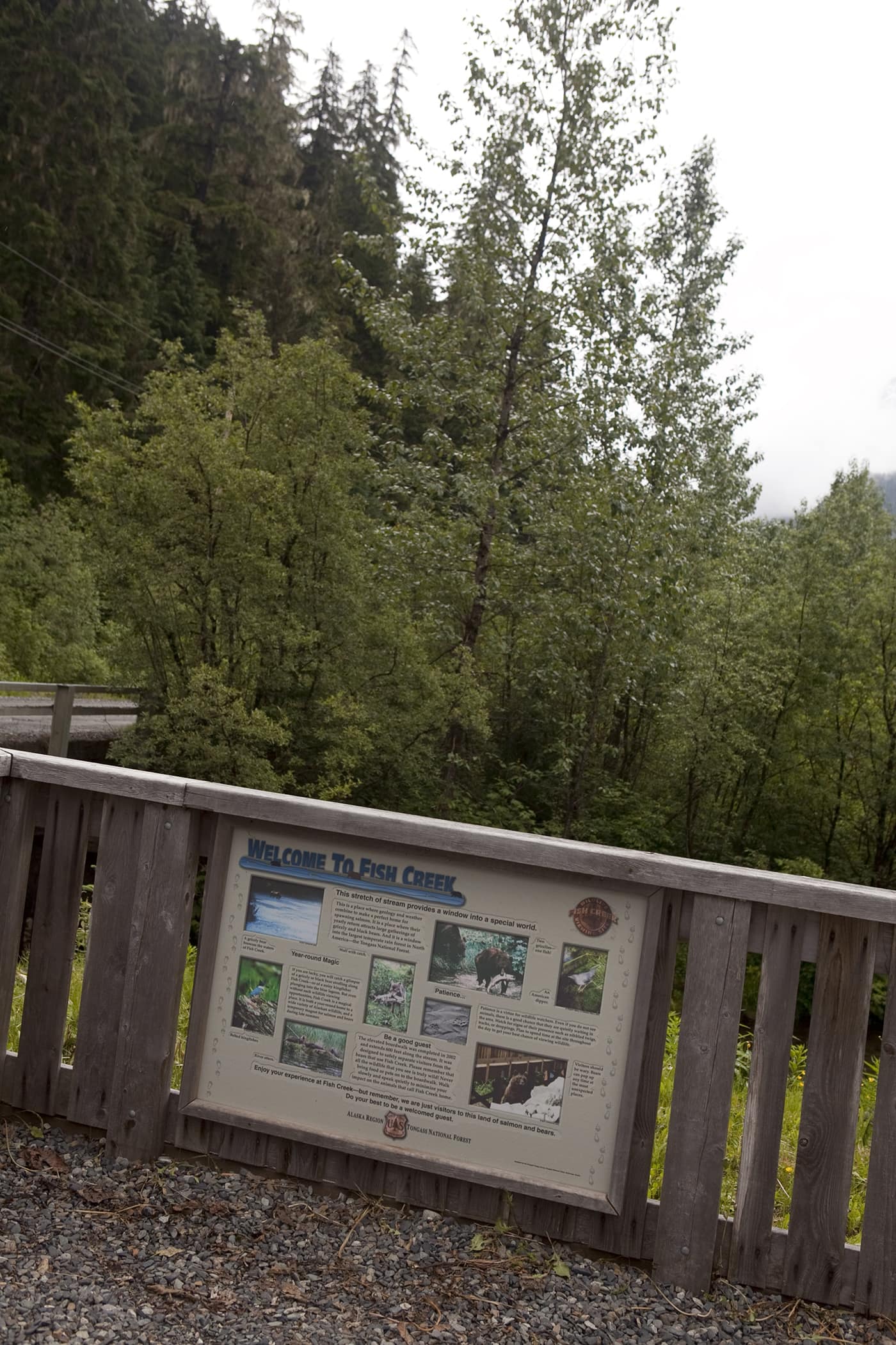 Sign welcoming you to Fish Creek Wildlife Observation Site at the Tongass National Forest in Hyder, Alaska.