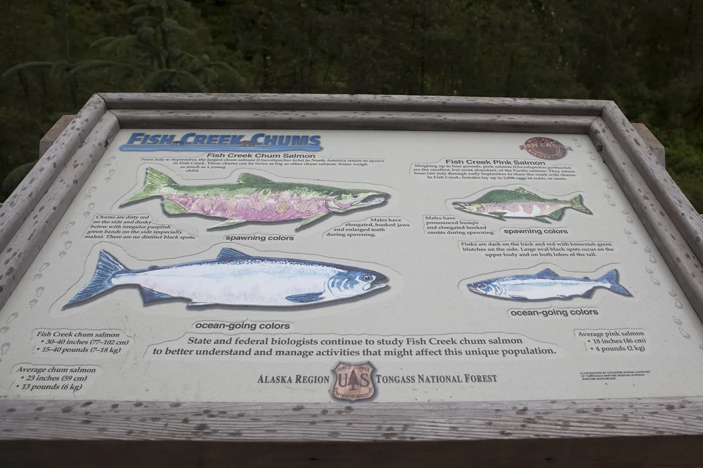 Informational signs at Fish Creek Wildlife Observation Site at the Tongass National Forest in Hyder, Alaska.