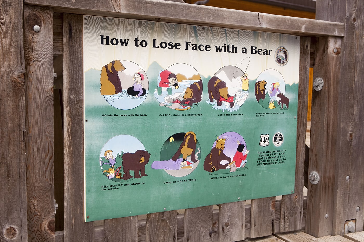 How to Lose Face with a Bear sign - at Fish Creek Wildlife Observation Site at the Tongass National Forest in Hyder, Alaska.