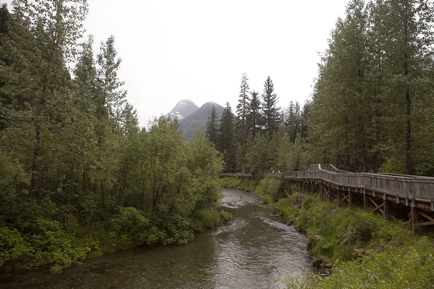 Fish Creek Wildlife Observation Site at the Tongass National Forest in Hyder, Alaska.