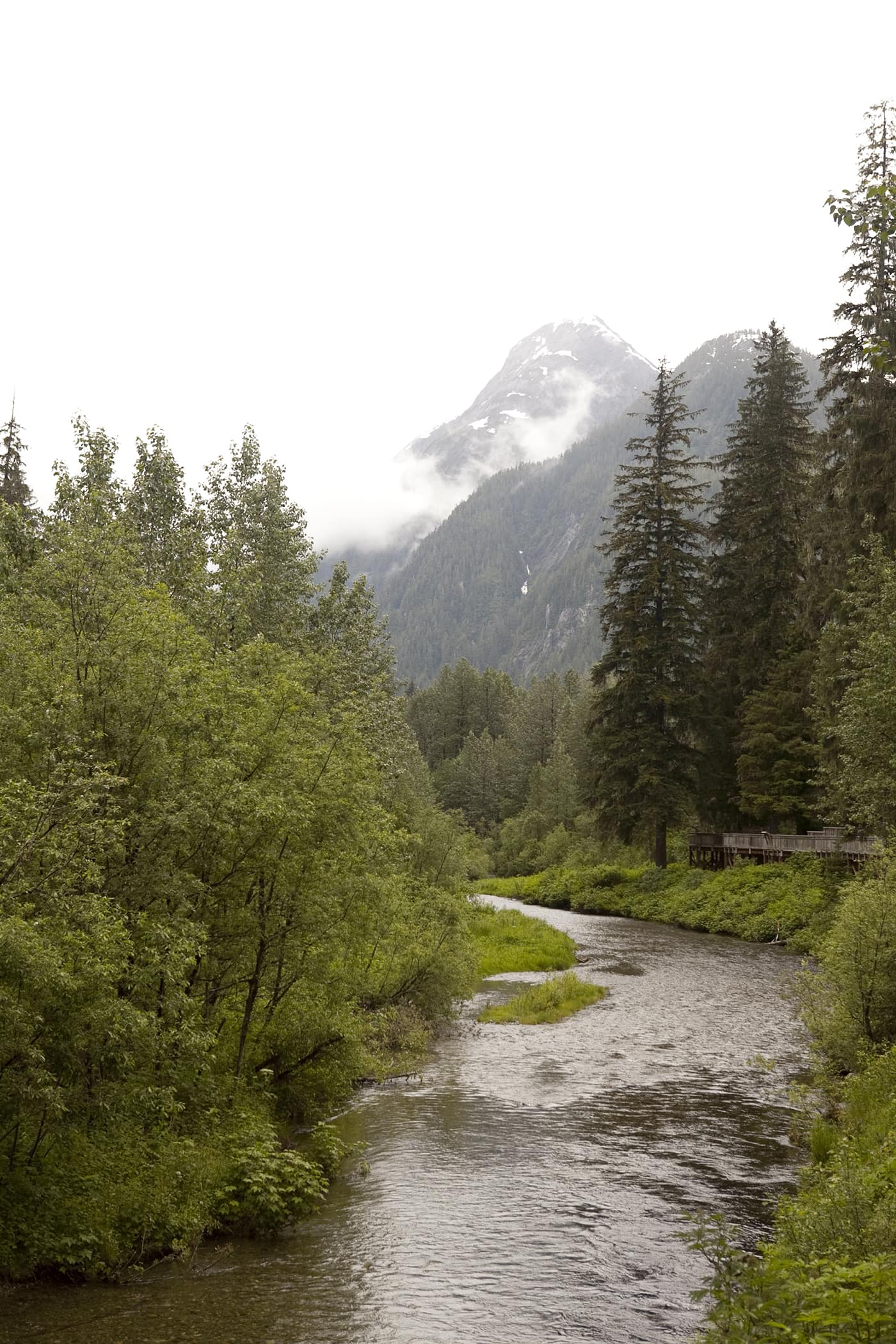 Fish Creek Wildlife Observation Site at the Tongass National Forest in Hyder, Alaska.