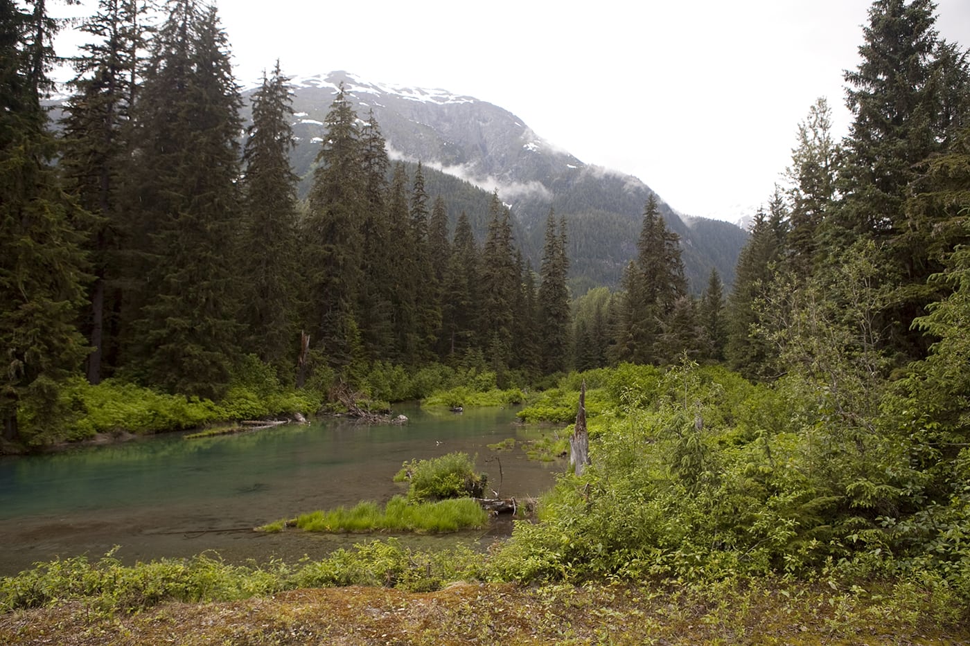 Fish Creek Wildlife Observation Site at the Tongass National Forest in Hyder, Alaska.