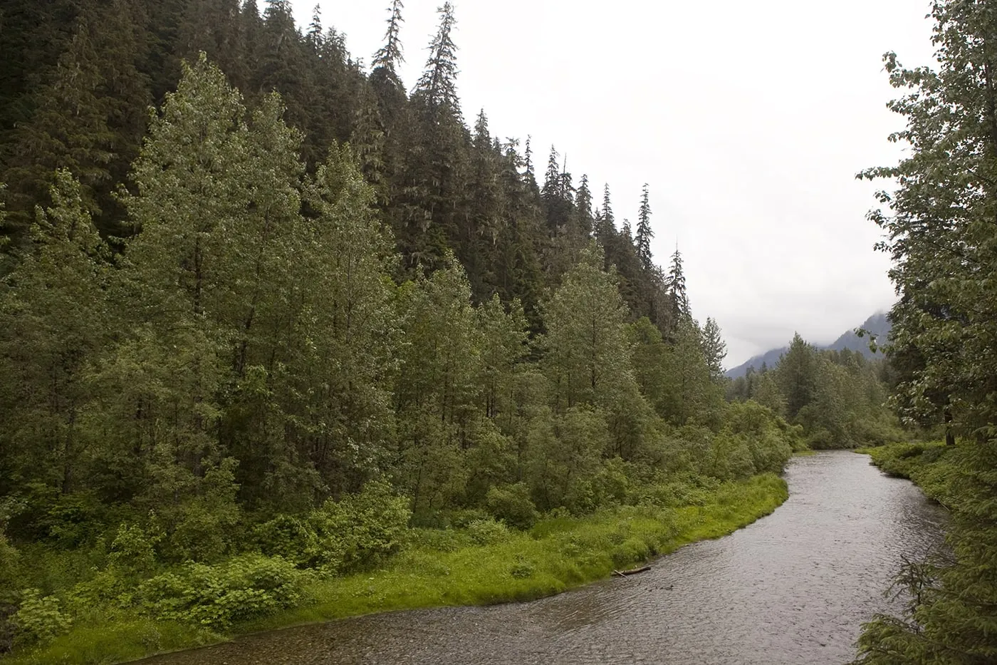 Fish Creek Wildlife Observation Site at the Tongass National Forest in Hyder, Alaska.