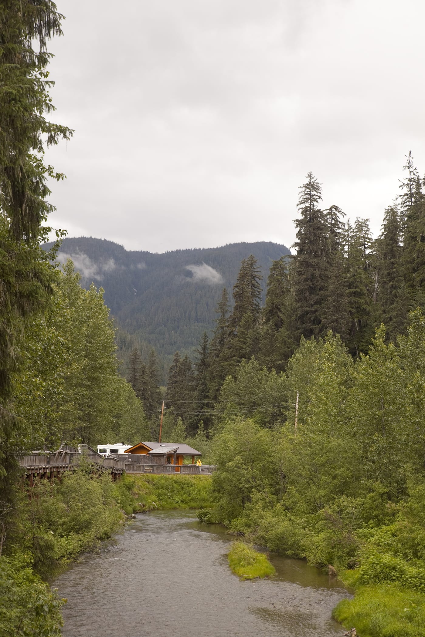 Fish Creek Wildlife Observation Site at the Tongass National Forest in Hyder, Alaska.