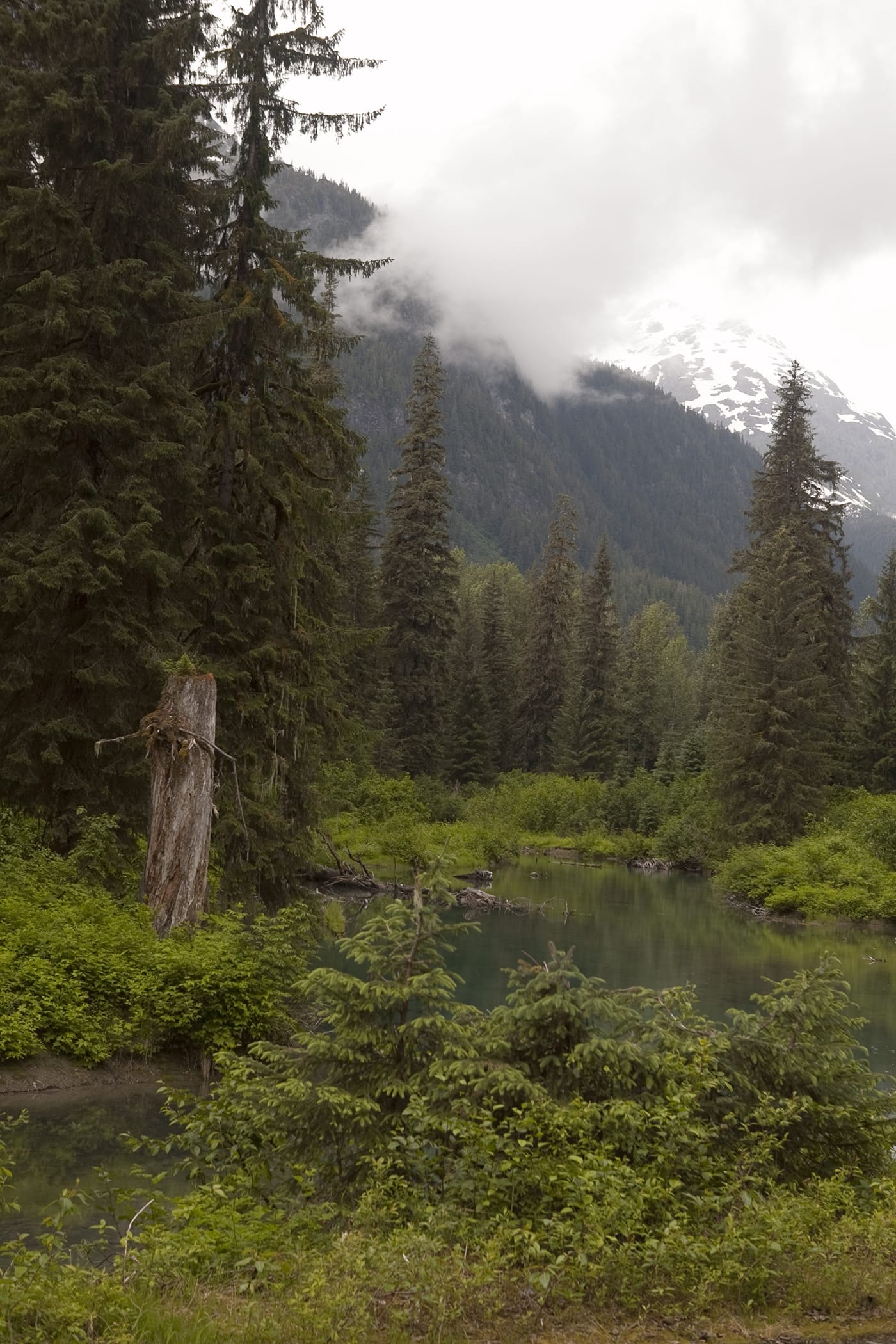 Fish Creek Wildlife Observation Site at the Tongass National Forest in Hyder, Alaska.